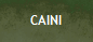 CAINI