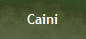 Caini