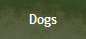 Dogs