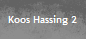 Koos Hassing 2