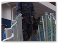 border_patrol (1)