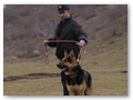 border_patrol (13)