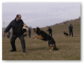 border_patrol (14)