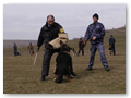 border_patrol (15)