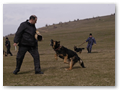 border_patrol (16)
