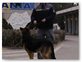border_patrol (4)