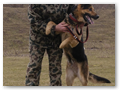 border_patrol (9)